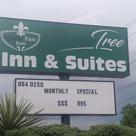 Tree Inn & Suites Albuquerque Dış mekan fotoğraf