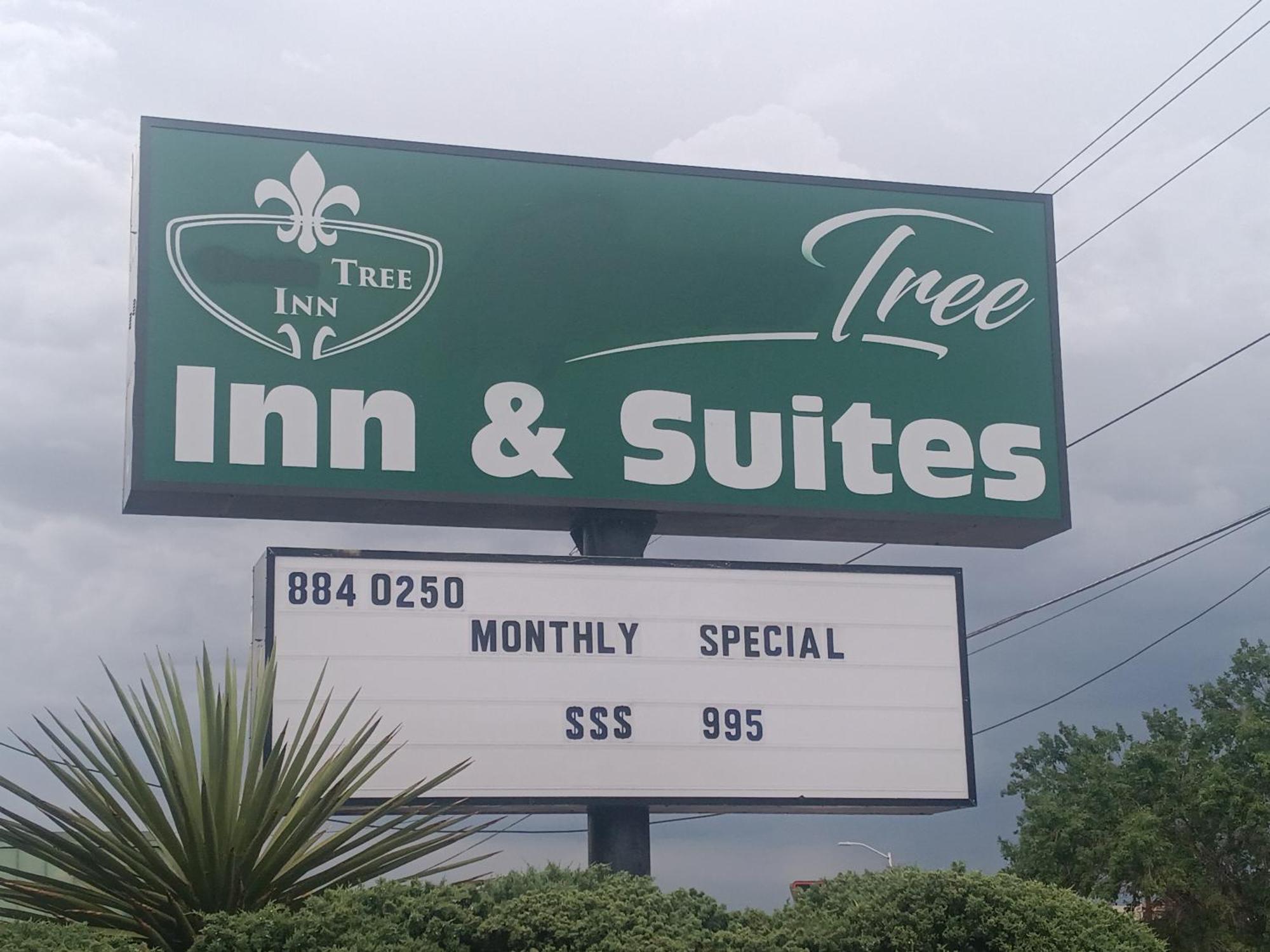 Tree Inn & Suites Albuquerque Dış mekan fotoğraf